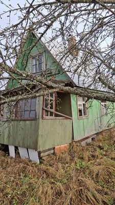 Объект по адресу Ленинградская обл, Лужский р-н, Массив Дивенская тер, Дивное тер. СНТ