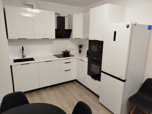 Объект по адресу Санкт-Петербург, Пахомовская ул, 10к3 