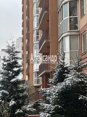 Фото квартиры по адресу Санкт-Петербург, Богатырский пр-кт, 55к1 