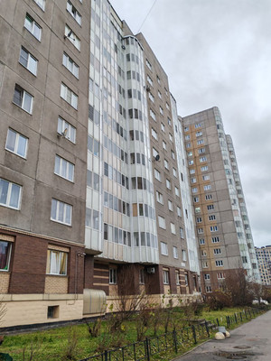 Объект по адресу Санкт-Петербург, Малая Бухарестская ул, 10к2 