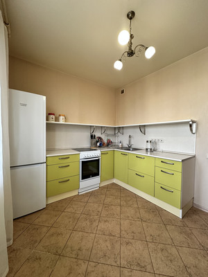 Объект по адресу Москва, Курыжова (Южный мкр.) ул, 17к1 