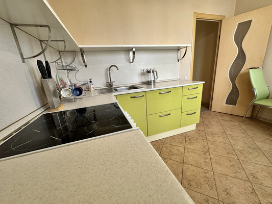 Объект по адресу Москва, Курыжова (Южный мкр.) ул, 17к1 