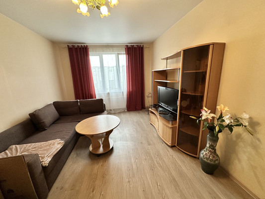 Объект по адресу Москва, Курыжова (Южный мкр.) ул, 17к1 