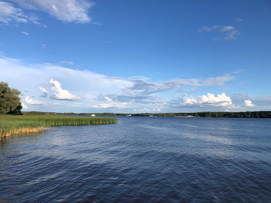 Объект по адресу Москва, Протасово д 