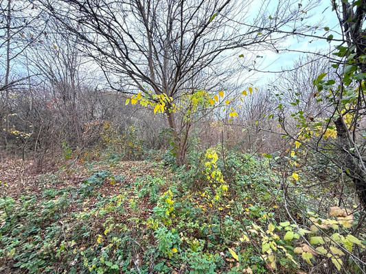 Объект по адресу Москва, Советская ул, 48 