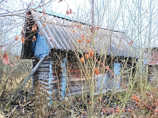 Объект по адресу Москва, Риф тер. СНТ 