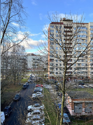 Объект по адресу Санкт-Петербург, Светлановский пр-кт, 101 