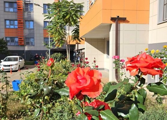 Объект по адресу Москва, им. Котлярова Н.С. ул, 32 