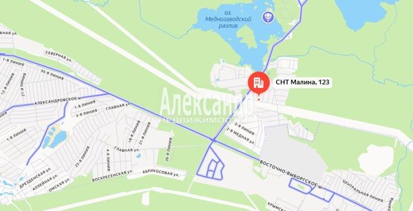Объект по адресу Москва, Малина тер. СНТ, 123А 