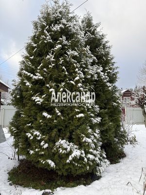 Объект по адресу Москва, 8-я Лесная ул 