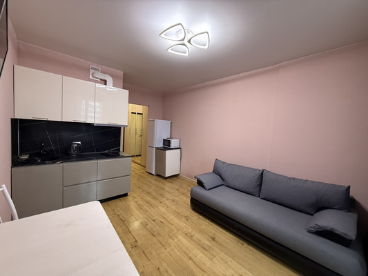 Объект по адресу Санкт-Петербург г, Александра Грина б-р, д. 3