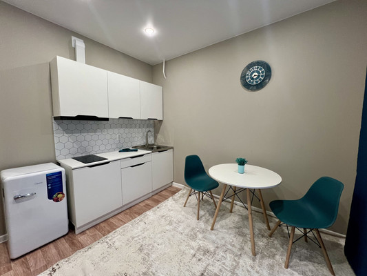 Объект по адресу Санкт-Петербург, Елецкая ул, 9 