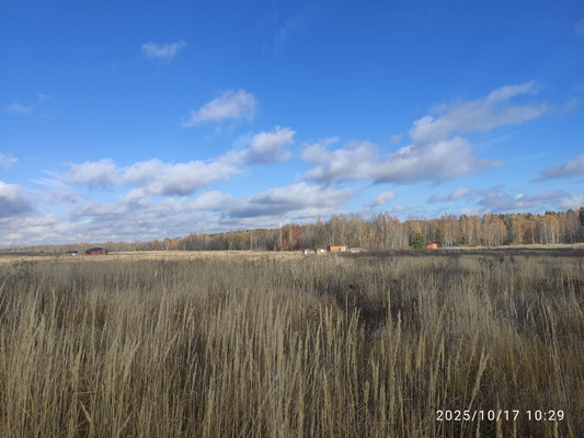 Объект по адресу Татарстан Респ, Лаишевский р-н, Сокуры с, Заря ул