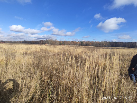 Объект по адресу Татарстан Респ, Лаишевский р-н, Сокуры с, Заря ул