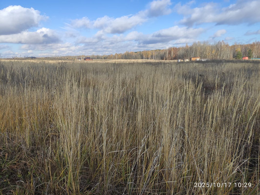 Объект по адресу Татарстан Респ, Лаишевский р-н, Сокуры с, Заря ул