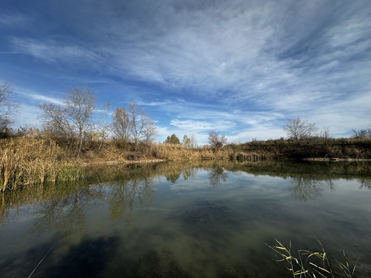 Объект по адресу Москва, Школьное с 
