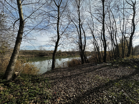 Объект по адресу Москва, Школьное с 