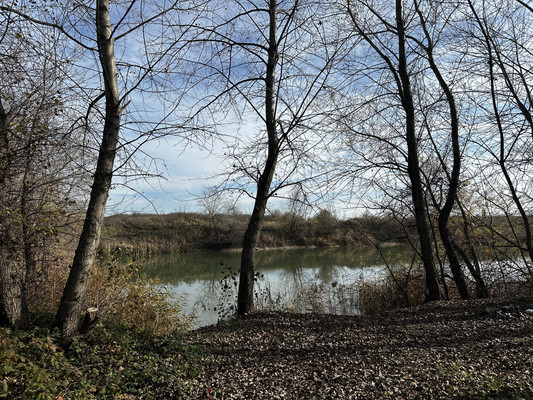 Объект по адресу Москва, Школьное с 