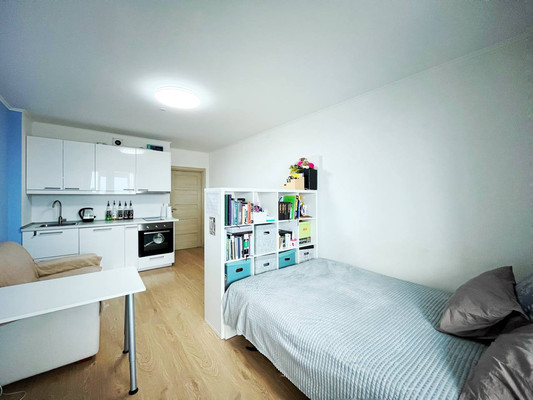 Объект по адресу Санкт-Петербург, Энергетиков пр-кт, 9к3 