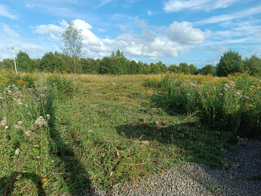 Объект по адресу Москва, Восточная аллея 