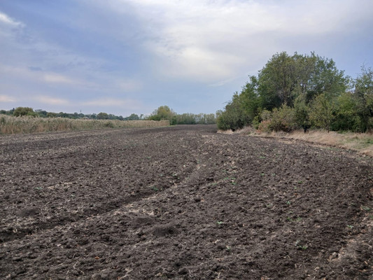 Объект по адресу Краснодарский край, Тихорецкий р-н, Братский п, Кирпичная ул, д. 3
