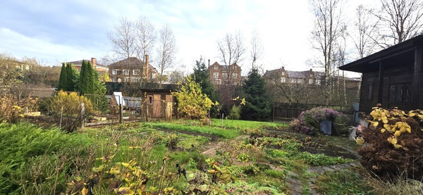 Объект по адресу Москва, Пыхтино д 