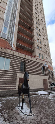 Объект по адресу Санкт-Петербург г, Дачный пр-кт, д. 17А