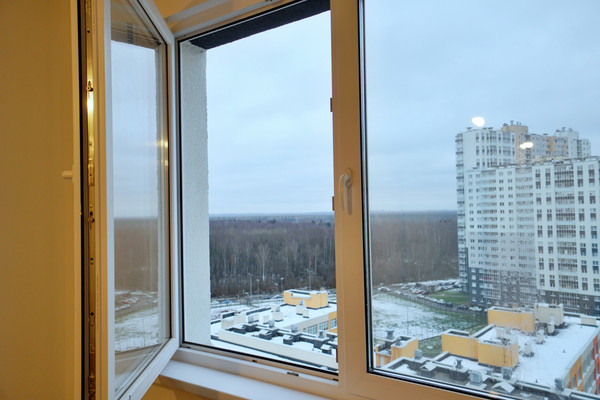 Объект по адресу Санкт-Петербург г, Пейзажная ул, д. 24к3