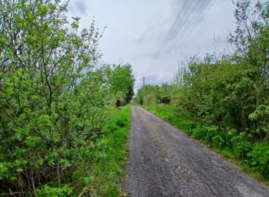 Объект по адресу Москва, Риф тер. СНТ 