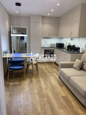 Объект по адресу Санкт-Петербург г, Измайловский б-р, д. 11