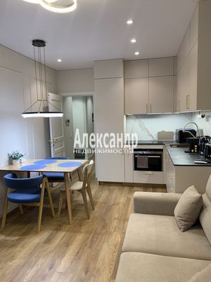 Объект по адресу Санкт-Петербург г, Измайловский б-р, д. 11