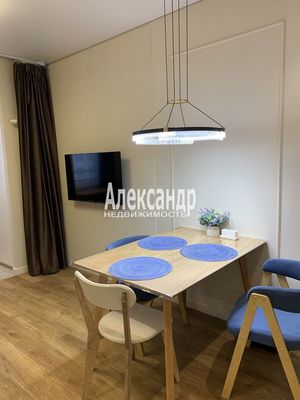 Объект по адресу Санкт-Петербург г, Измайловский б-р, д. 11