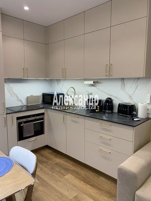 Объект по адресу Санкт-Петербург г, Измайловский б-р, д. 11