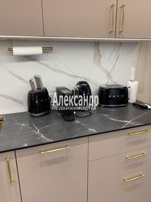 Объект по адресу Санкт-Петербург г, Измайловский б-р, д. 11