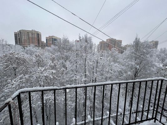 Объект по адресу Санкт-Петербург, Верности ул, 11 