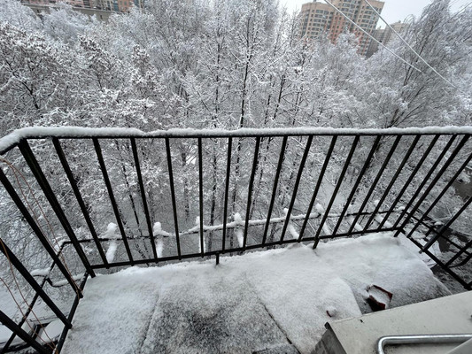 Объект по адресу Санкт-Петербург, Верности ул, 11 