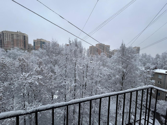 Объект по адресу Санкт-Петербург, Верности ул, 11 