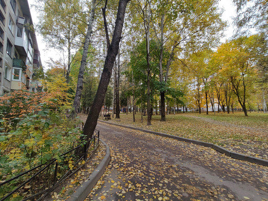 Фото квартиры по адресу Санкт-Петербург, Просвещения пр-кт, 86к3 