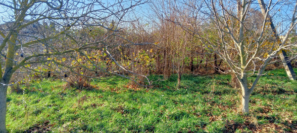 Объект по адресу Москва, Лиманная ул 