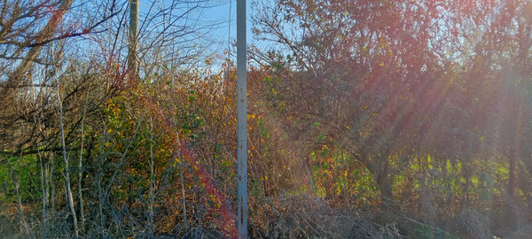 Объект по адресу Москва, Лиманная ул 