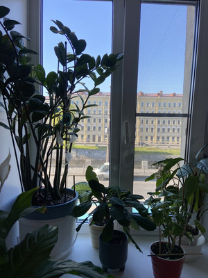 Объект по адресу Санкт-Петербург, Обводного канала наб, 142/16 