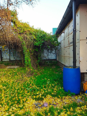 Объект по адресу Архангельская, Поветкина ул, 16 