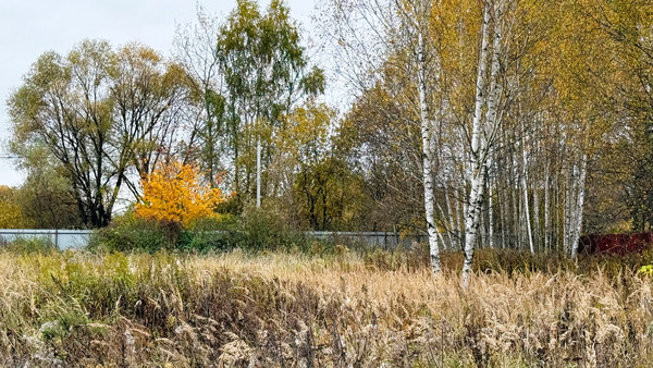 Объект по адресу Московская обл, Раменский р-н, Поповка (Сафоновский с/о) д, Заречная ул
