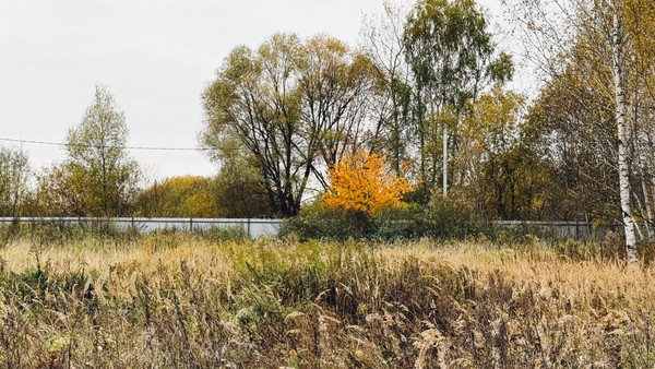 Объект по адресу Московская обл, Раменский р-н, Поповка (Сафоновский с/о) д, Заречная ул