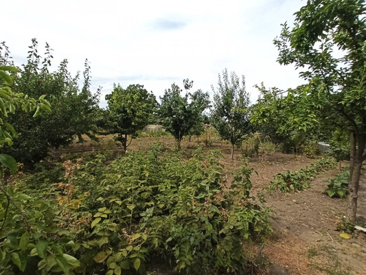 Объект по адресу Краснодарский край, Тихорецкий р-н, Фастовецкая ст-ца, Мира ул, д. 26
