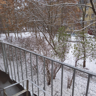 Фото квартиры по адресу Санкт-Петербург, Московский пр-кт, 220к2 