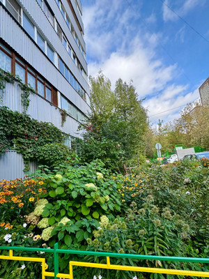 Объект по адресу Москва, Измайловский пр-кт, 61 