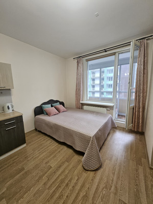 Объект по адресу Ленинградская обл, Всеволожский р-н, Столичная ул, д. 1