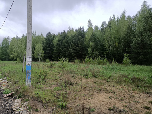 Объект по адресу Москва, Ёлкино тер 