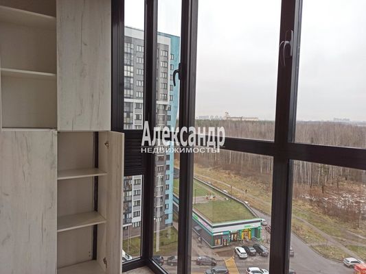 Объект по адресу Санкт-Петербург г, Парашютная ул, д. 61к1